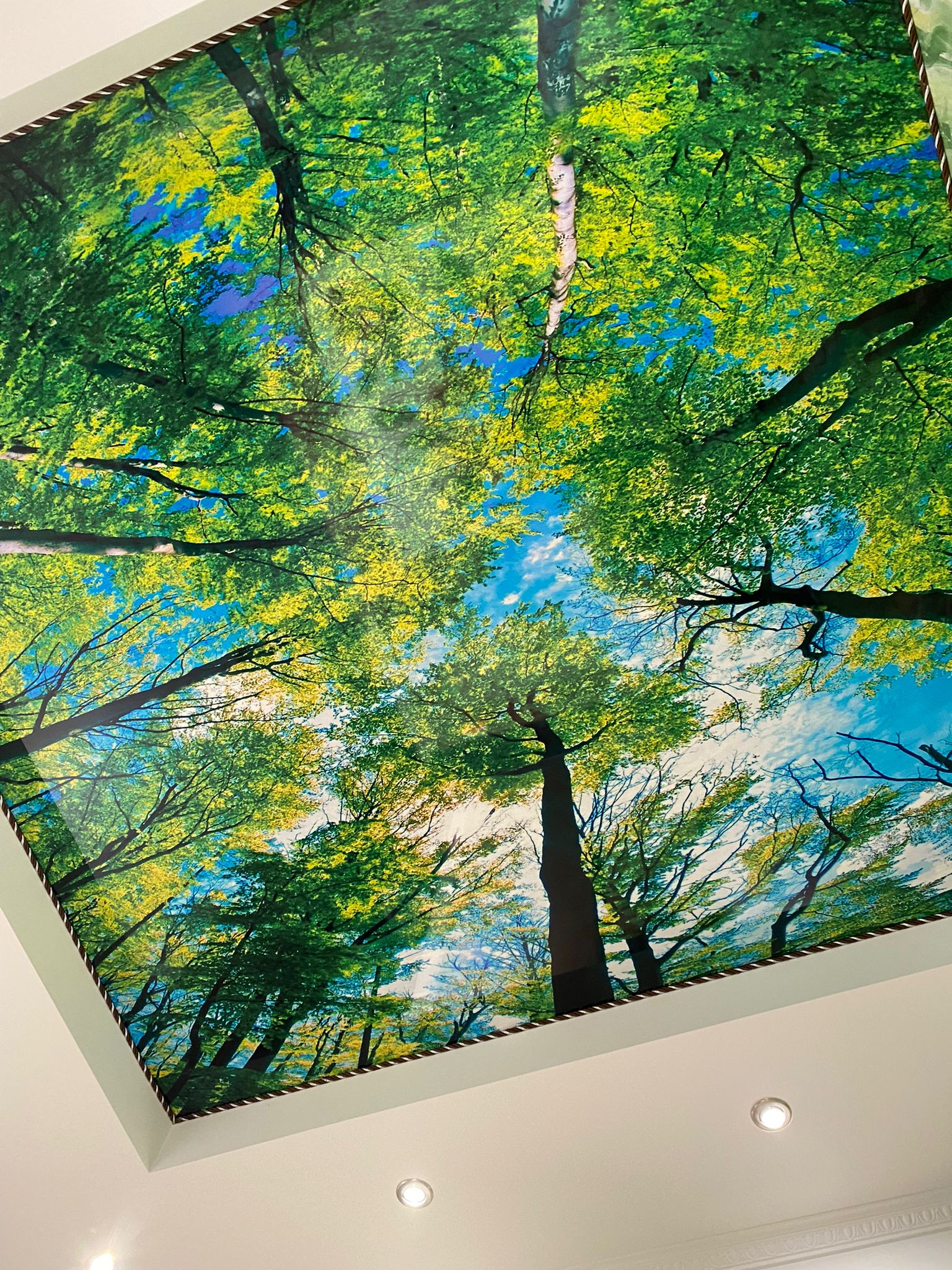 Tavan extensibil printat padure Zalau - tavane extensibile printate Romania